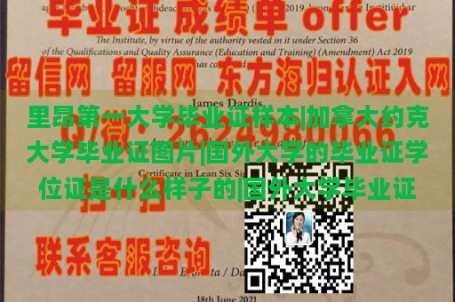 里昂第一大学毕业证样本|加拿大约克大学毕业证图片|国外大学的毕业证学位证是什么样子的|国外大学毕业证