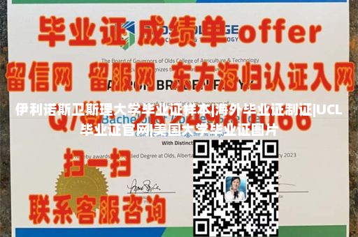 纽约城市大学赫伯特莱曼学院文凭样本|爱尔兰大学毕业证|新加坡大学文凭|offer