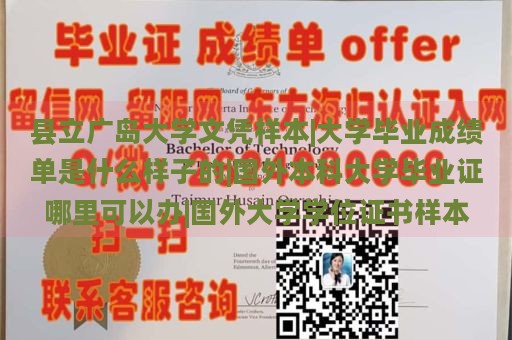 县立广岛大学文凭样本|大学毕业成绩单是什么样子的|国外本科大学毕业证哪里可以办|国外大学学位证书样本