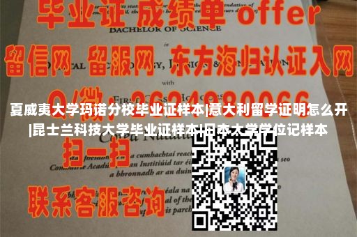 定制德岛文理大学文凭|双学士毕业证国外官网|荣誉证书制作|国外大学学位证书样本