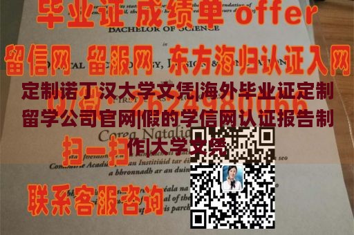 定制诺丁汉大学文凭|海外毕业证定制留学公司官网|假的学信网认证报告制作|大学文凭