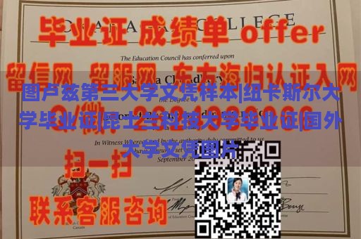 图卢兹第三大学文凭样本|纽卡斯尔大学毕业证|昆士兰科技大学毕业证|国外大学文凭图片