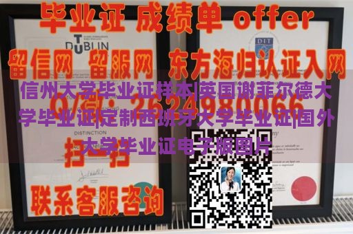 信州大学毕业证样本|英国谢菲尔德大学毕业证|定制西班牙大学毕业证|国外大学毕业证电子版图片