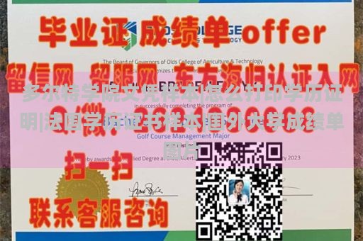 多尔特学院文凭样本|怎么打印学历证明|法国学历证书样本|国外大学成绩单图片