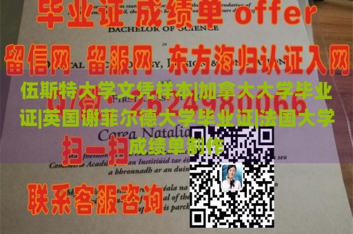 伍斯特大学文凭样本|加拿大大学毕业证|英国谢菲尔德大学毕业证|法国大学成绩单制作