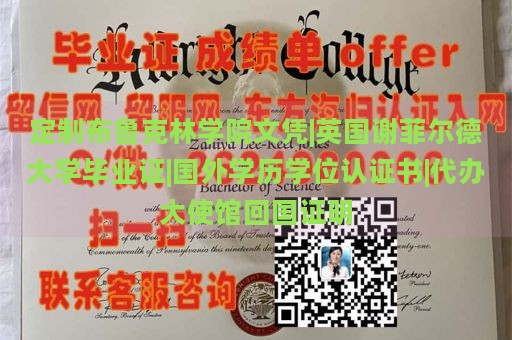 定制布鲁克林学院文凭|英国谢菲尔德大学毕业证|国外学历学位认证书|代办大使馆回国证明