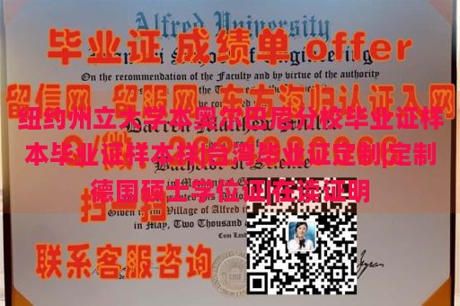 纽约州立大学本奥尔巴尼分校毕业证样本毕业证样本样|台湾毕业证定制|定制德国硕士学位证|在读证明