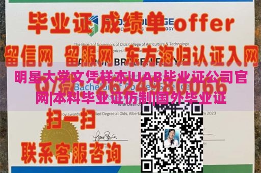 明星大学文凭样本|UAB毕业证公司官网|本科毕业证仿制|国外毕业证