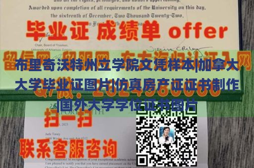 布里奇沃特州立学院文凭样本|加拿大大学毕业证图片|仿真房产证证书制作|国外大学学位证书图片