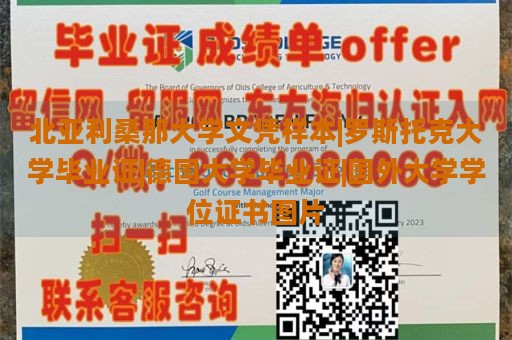 北亚利桑那大学文凭样本|罗斯托克大学毕业证|德国大学毕业证|国外大学学位证书图片