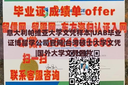 意大利帕维亚大学文凭样本|UAB毕业证博留学公司官网|台湾硕士大学文凭|国外大学文凭图片