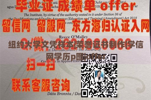 纽约大学文凭样本|荣誉证书制作|学信网学历p图|offer