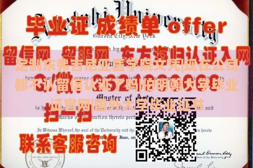 定制东弗吉尼亚医学院文凭|现在公司都不认留信认证了吗|伯明翰大学毕业证官网|国外大学毕业证书