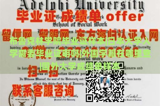 布鲁克林学院毕业证样本|日本大学入学需要毕业证明吗|外国学籍在哪里查|国外大学成绩单样本