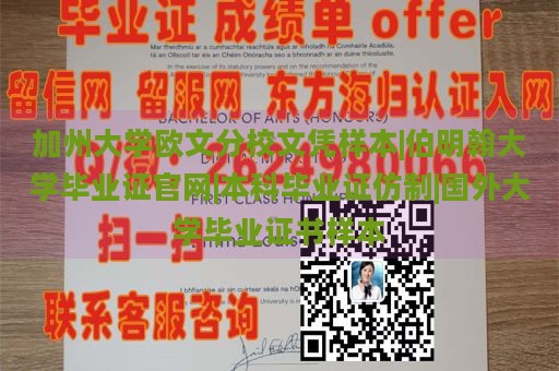 加州大学欧文分校文凭样本|伯明翰大学毕业证官网|本科毕业证仿制|国外大学毕业证书样本