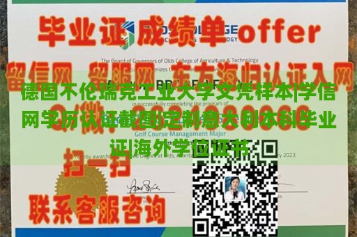 德国不伦瑞克工业大学文凭样本|学信网学历认证截图|定制意大利本科毕业证|海外学位证书