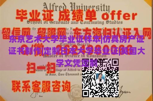 东京艺术大学毕业证样本|仿真房产证证书制作|定制日本大学毕业证|英国大学文凭定制