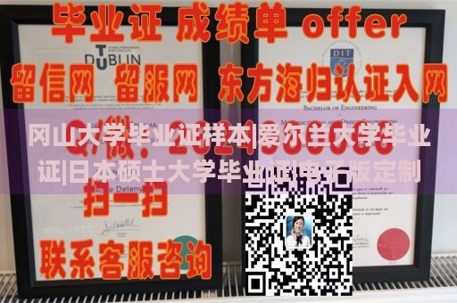 冈山大学毕业证样本|爱尔兰大学毕业证|日本硕士大学毕业证|电子版定制