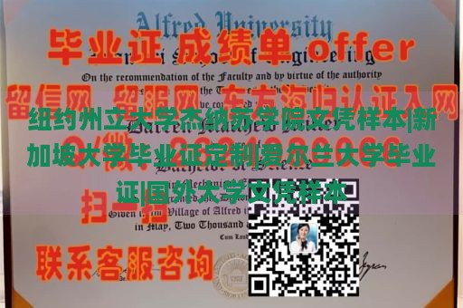 纽约州立大学杰纳苏学院文凭样本|新加坡大学毕业证定制|爱尔兰大学毕业证|国外大学文凭样本