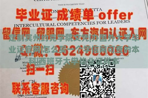 定制宾州约克学院文凭|办国外大学毕业证官网|怎么买一个学信网可查的本科|西班牙大学毕业证样本