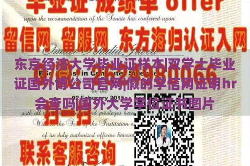 东京经济大学毕业证样本|双学士毕业证国外博公司官网|假的学信网证明hr会查吗|国外大学学位证书图片