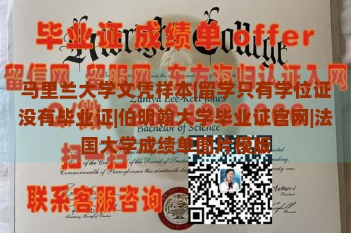 马里兰大学文凭样本|留学只有学位证没有毕业证|伯明翰大学毕业证官网|法国大学成绩单图片模版