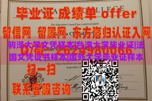 驹泽大学文凭样本|台湾大学毕业证|法国文凭证书样本|国外大学毕业证样本