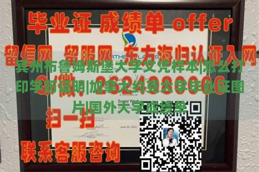 宾州布鲁姆斯堡大学文凭样本|怎么打印学历证明|加拿大约克大学毕业证图片|国外大学成绩单