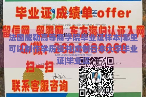 法国威勒高等商学院毕业证样本|哪里可以制作学历证书|定制日本大学毕业证|毕业证