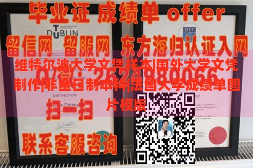 维特尔波大学文凭样本|国外大学文凭制作|非全日制本科|法国大学成绩单图片模版