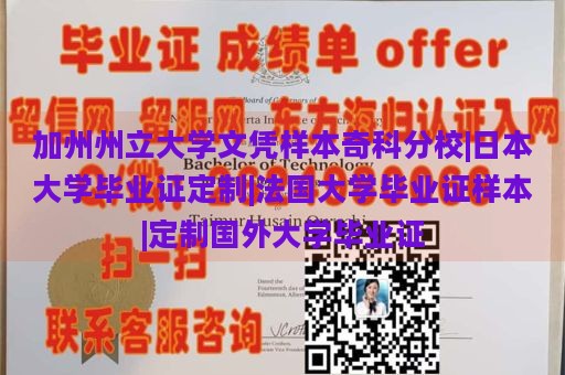 加州州立大学文凭样本奇科分校|日本大学毕业证定制|法国大学毕业证样本|定制国外大学毕业证