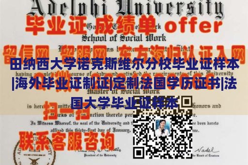 田纳西大学诺克斯维尔分校毕业证样本|海外毕业证制证|定制法国学历证书|法国大学毕业证样本