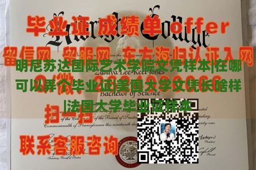 明尼苏达国际艺术学院文凭样本|在哪可以弄个毕业证|美国大学文凭长啥样|法国大学毕业证样本