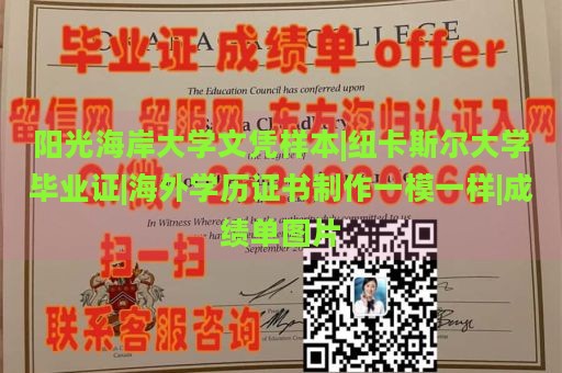 阳光海岸大学文凭样本|纽卡斯尔大学毕业证|海外学历证书制作一模一样|成绩单图片