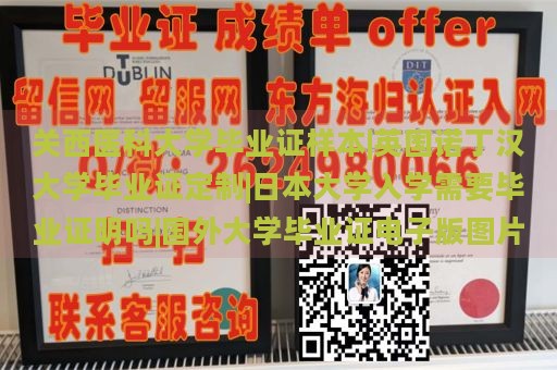 关西医科大学毕业证样本|英国诺丁汉大学毕业证定制|日本大学入学需要毕业证明吗|国外大学毕业证电子版图片