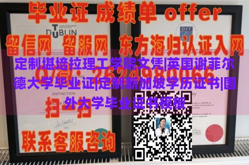 定制堪培拉理工学院文凭|英国谢菲尔德大学毕业证|定制新加坡学历证书|国外大学毕业证书模板