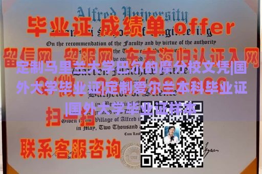 定制马里兰大学巴尔的摩分校文凭|国外大学毕业证|定制爱尔兰本科毕业证|国外大学毕业证样本