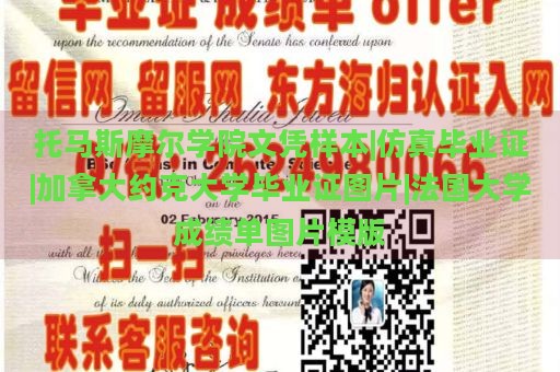 托马斯摩尔学院文凭样本|仿真毕业证|加拿大约克大学毕业证图片|法国大学成绩单图片模版