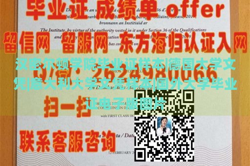 汉密尔顿学院毕业证样本|德国大学文凭|意大利大学文凭样本|国外大学毕业证电子版图片