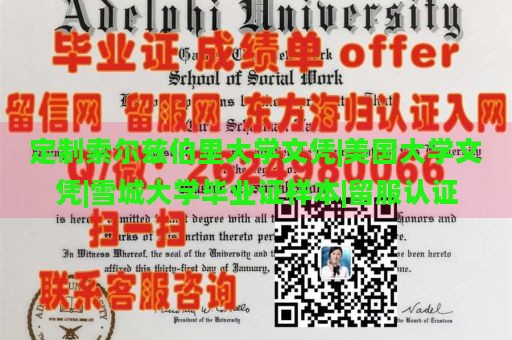 定制索尔兹伯里大学文凭|美国大学文凭|雪城大学毕业证样本|留服认证