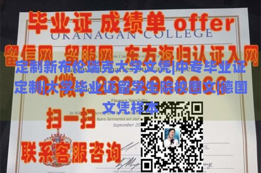 定制新布伦瑞克大学文凭|中专毕业证定制|大学毕业证留学生院校图文|德国文凭样本