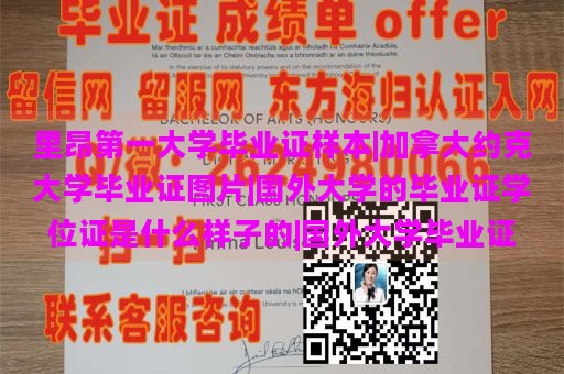 里昂第一大学毕业证样本|加拿大约克大学毕业证图片|国外大学的毕业证学位证是什么样子的|国外大学毕业证