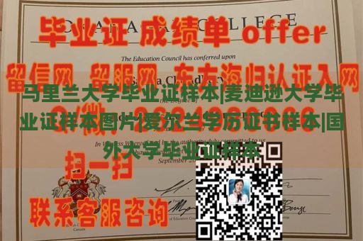 马里兰大学毕业证样本|麦迪逊大学毕业证样本图片|爱尔兰学历证书样本|国外大学毕业证样本