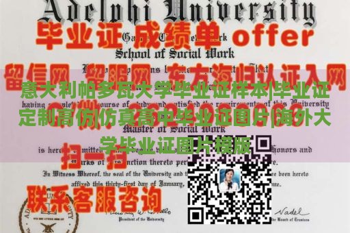 意大利帕多瓦大学毕业证样本|毕业证定制高仿|仿真高中毕业证图片|海外大学毕业证图片模版