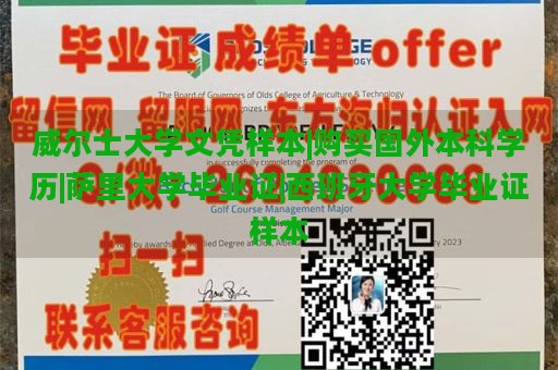 威尔士大学文凭样本|购买国外本科学历|萨里大学毕业证|西班牙大学毕业证样本