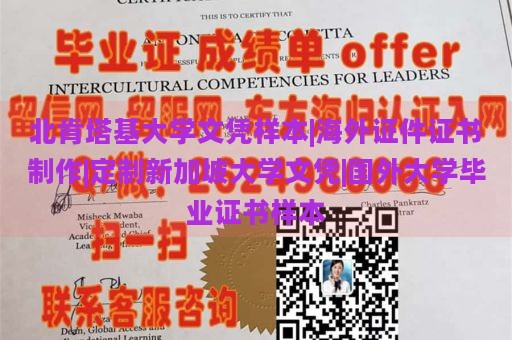 北肯塔基大学文凭样本|海外证件证书制作|定制新加坡大学文凭|国外大学毕业证书样本